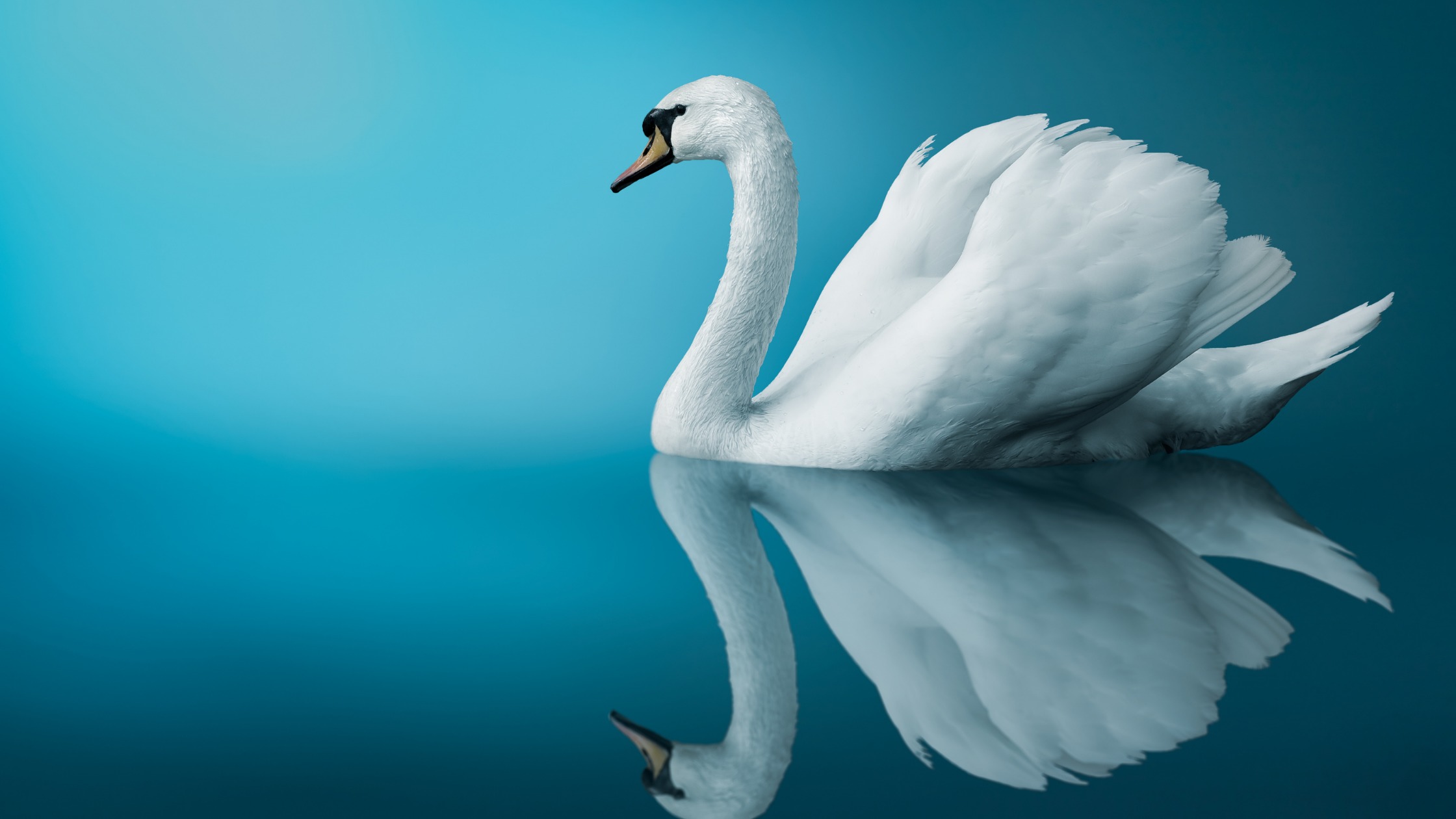 ENHYPEN(エンハイフン) ソンフンの愛用パーカーが知りたい！値段や愛用