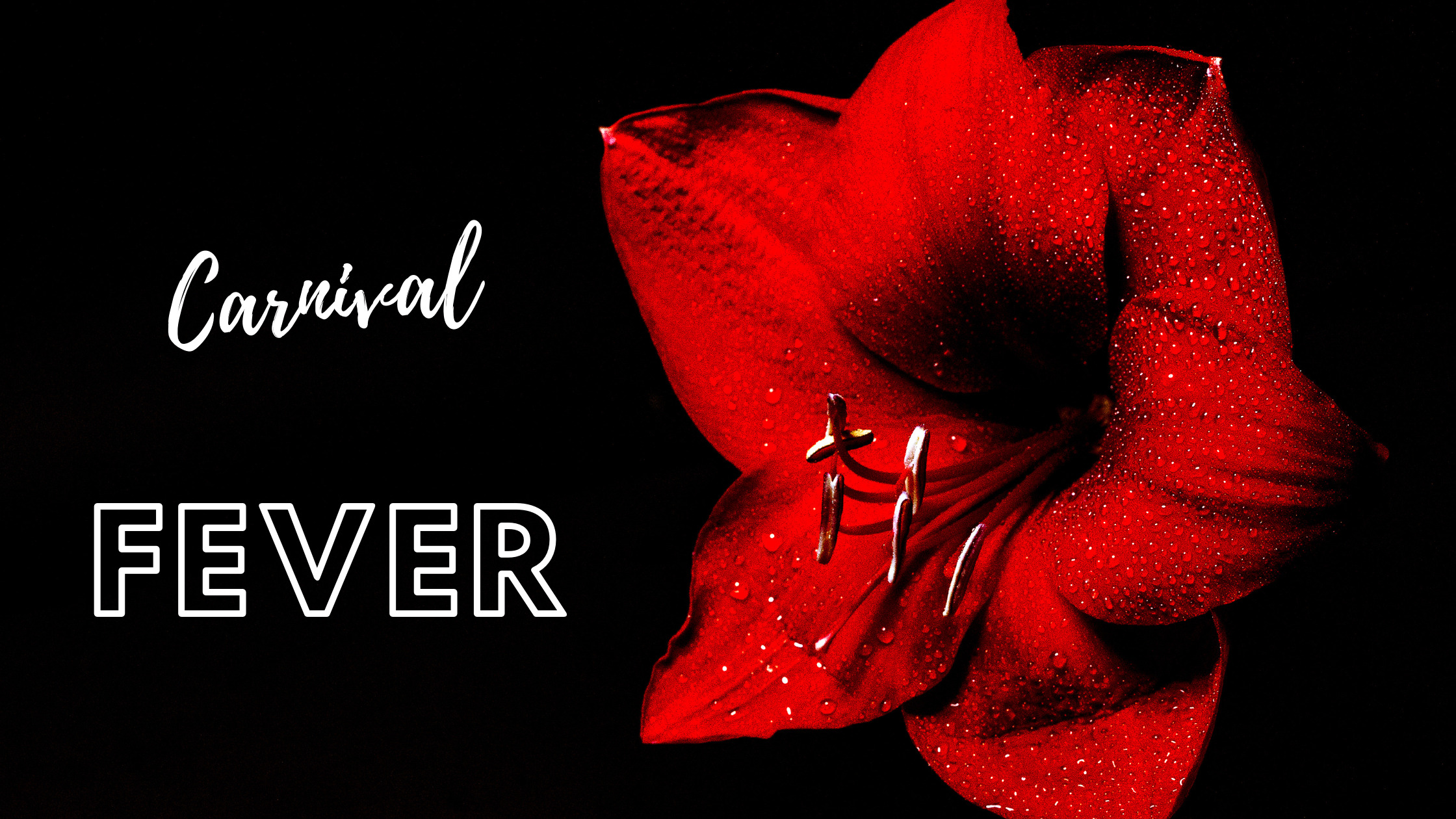 Fever 歌詞和訳 カナルビで一緒に応援しよう Enhypen応援 Shikaのひらめき