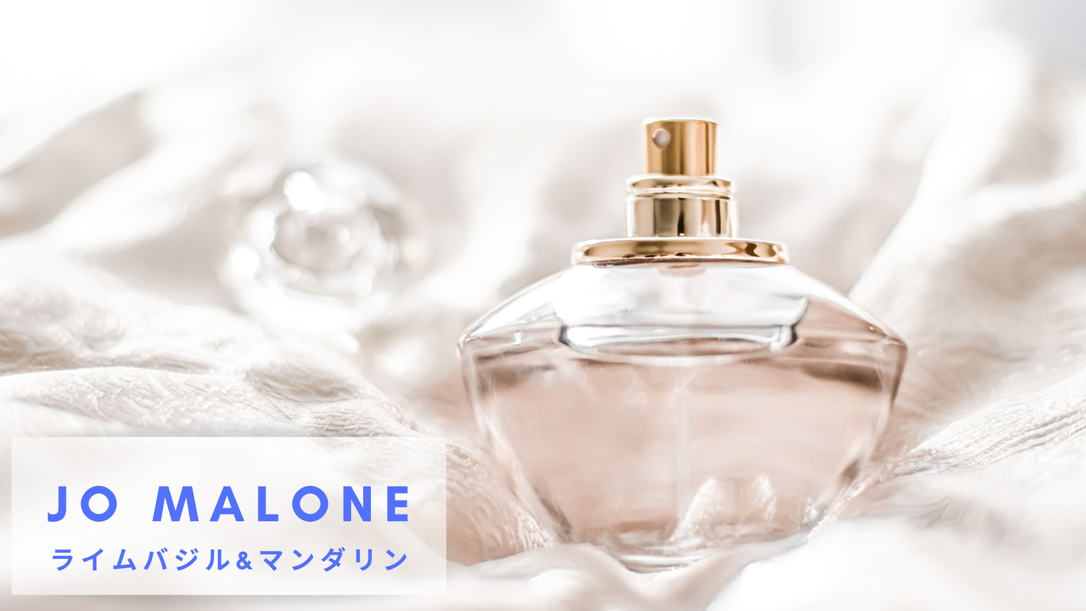 SALE限定セール ニキ 香水 Aquaflor Firenze Orphyca Perfume Tifou