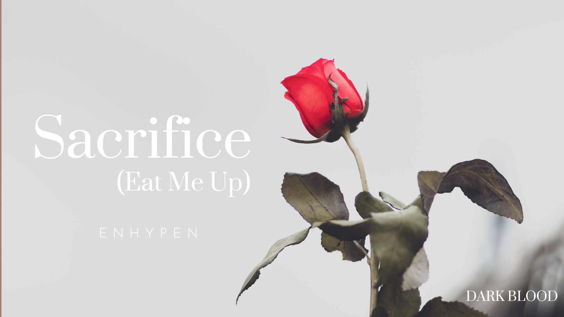 ENHYPEN、夢幻的な「Sacrifice (Eat Me Up)」ポスター＆MVティーザーを